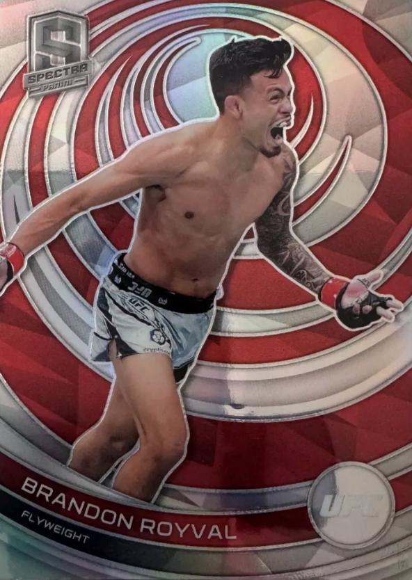 Brandon Royval 2023 Panini Chronicles UFC Base Spectra #381 Silver