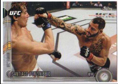 Santiago Ponzinibbio 2015 Topps UFC Chronicles Base #213 Silver