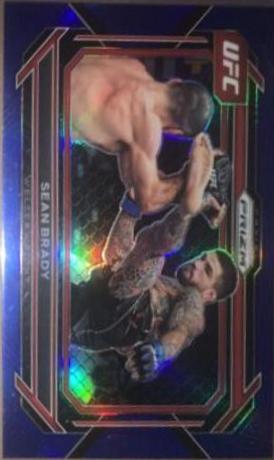 Sean Brady 2023 Panini Prizm UFC Base #51 Blue