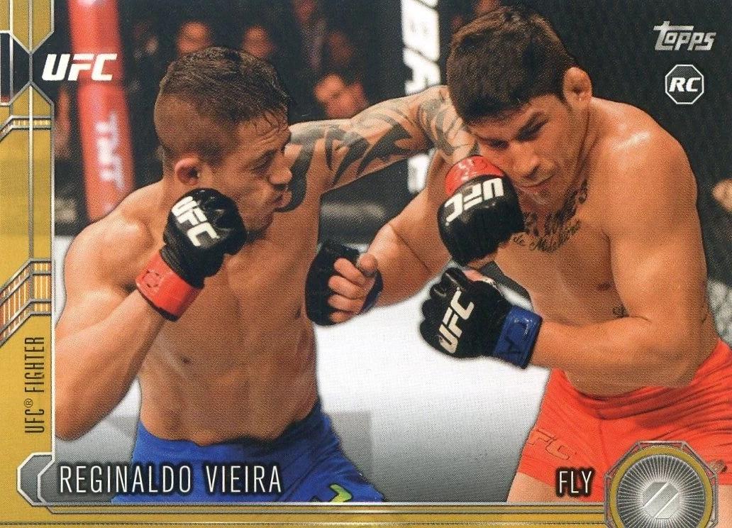 Reginaldo Vieira, profile card photo