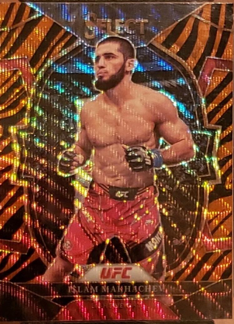 Islam Makhachev 2023 Panini Select UFC Concourse #94 Tiger
