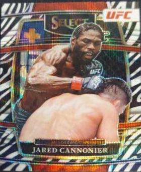 Jared Cannonier 2022 Panini Select UFC Concourse #8 Zebra