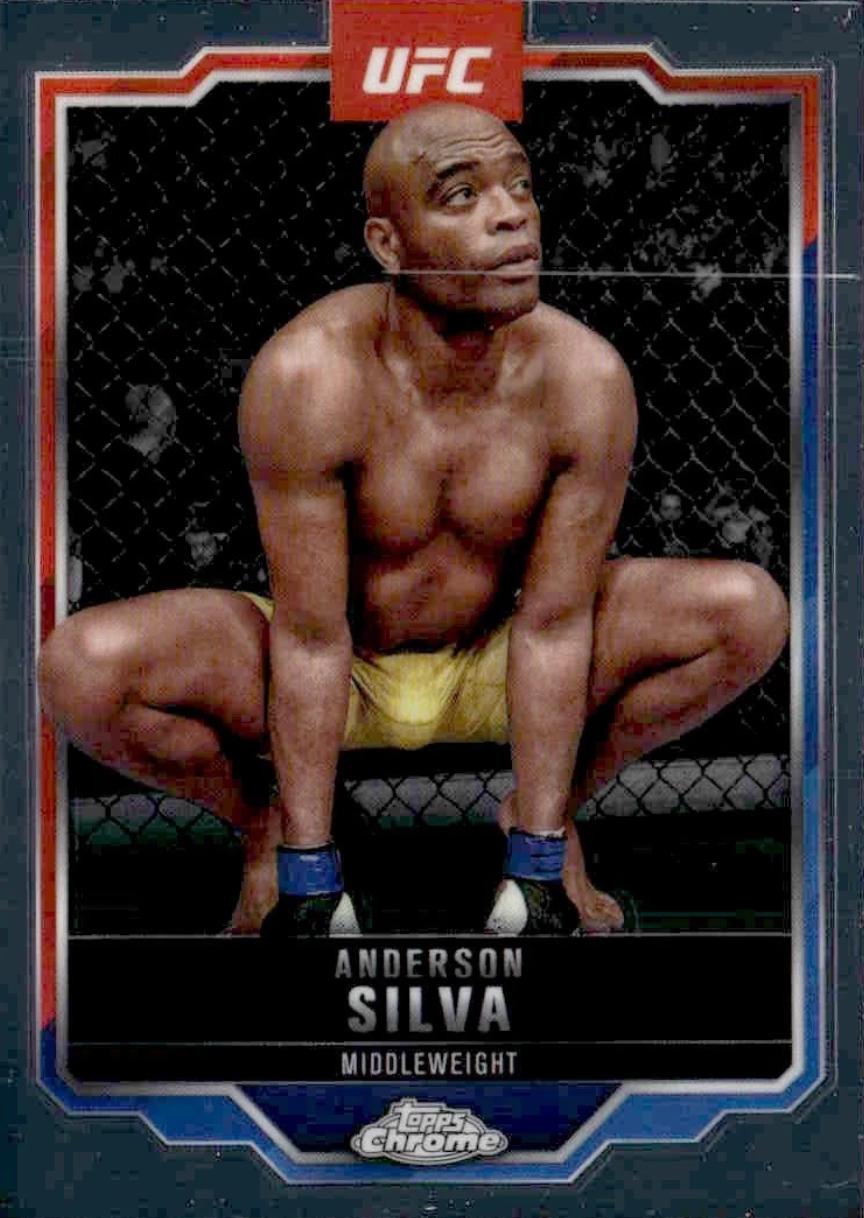 Anderson Silva, profile card photo