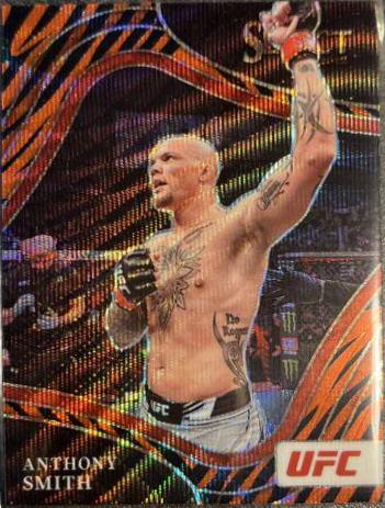 Anthony Smith 2022 Panini Select UFC Octagonside #228 Tiger