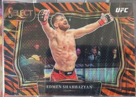 Edmen Shahbazyan 2023 Panini Select UFC Octagonside #248 Tiger
