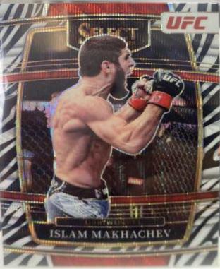 Islam Makhachev 2022 Panini Select UFC Concourse #29 Zebra