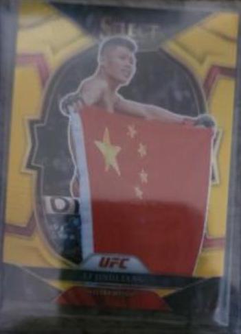 Li Jingliang 2023 Panini Select UFC Concourse #19 Gold