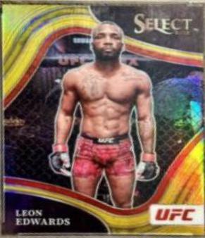 Leon Edwards 2022 Panini Select UFC Mezzanine #367 Gold