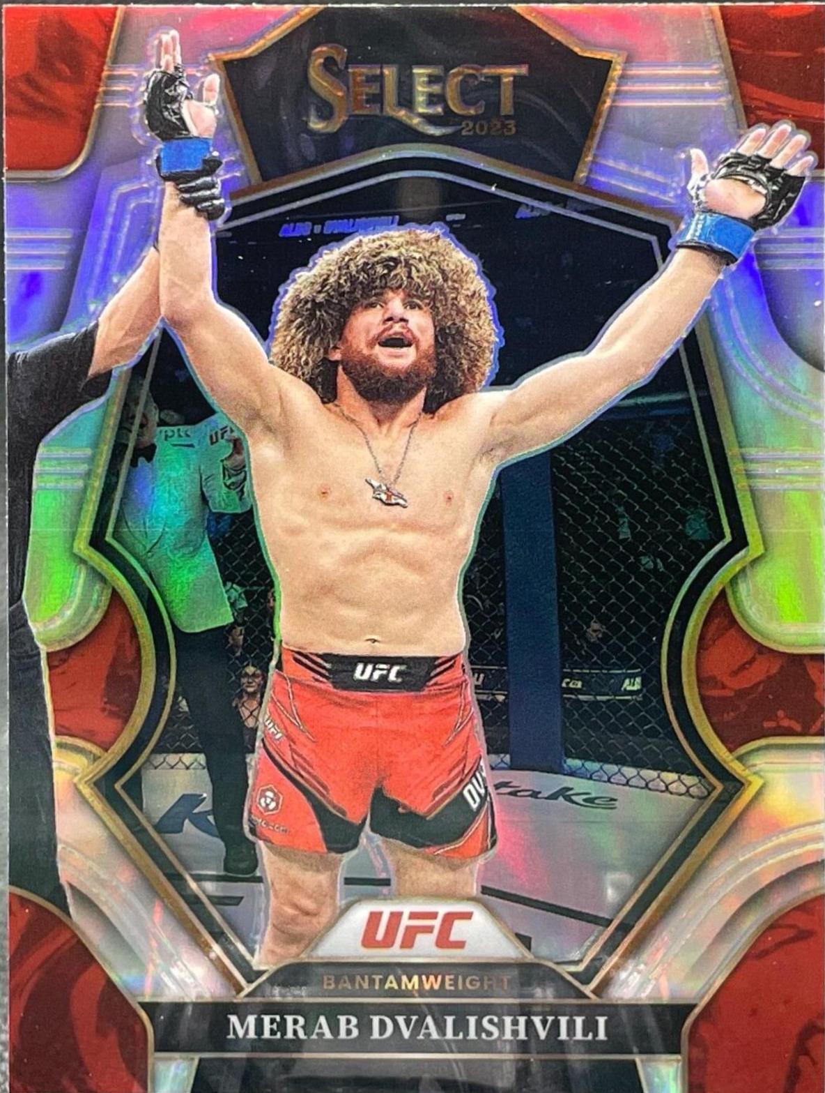 Merab Dvalishvili 2023 Panini Select UFC Premier Level #147 Silver