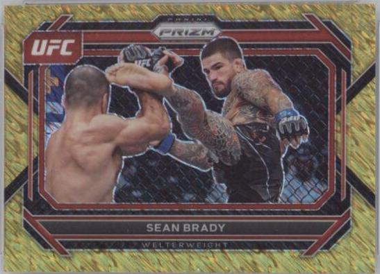 Sean Brady 2023 Panini Prizm UFC Base #51 Gold Shimmer